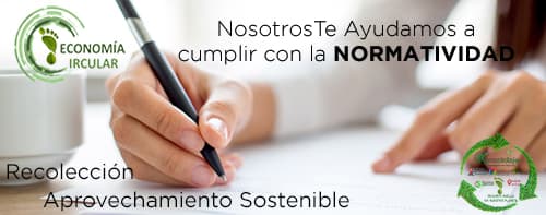 economía circular Rutas de Reciclaje