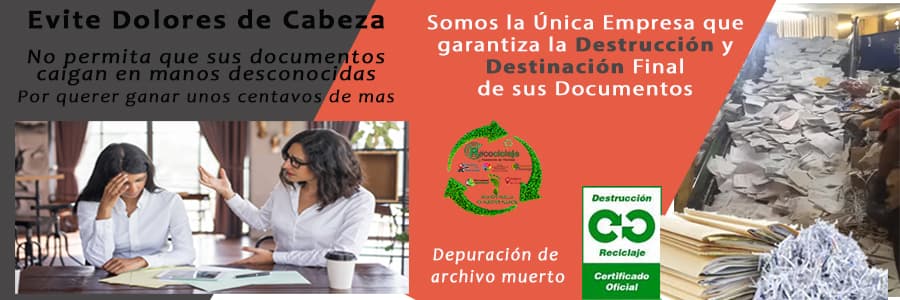 Destrucción de Archivo